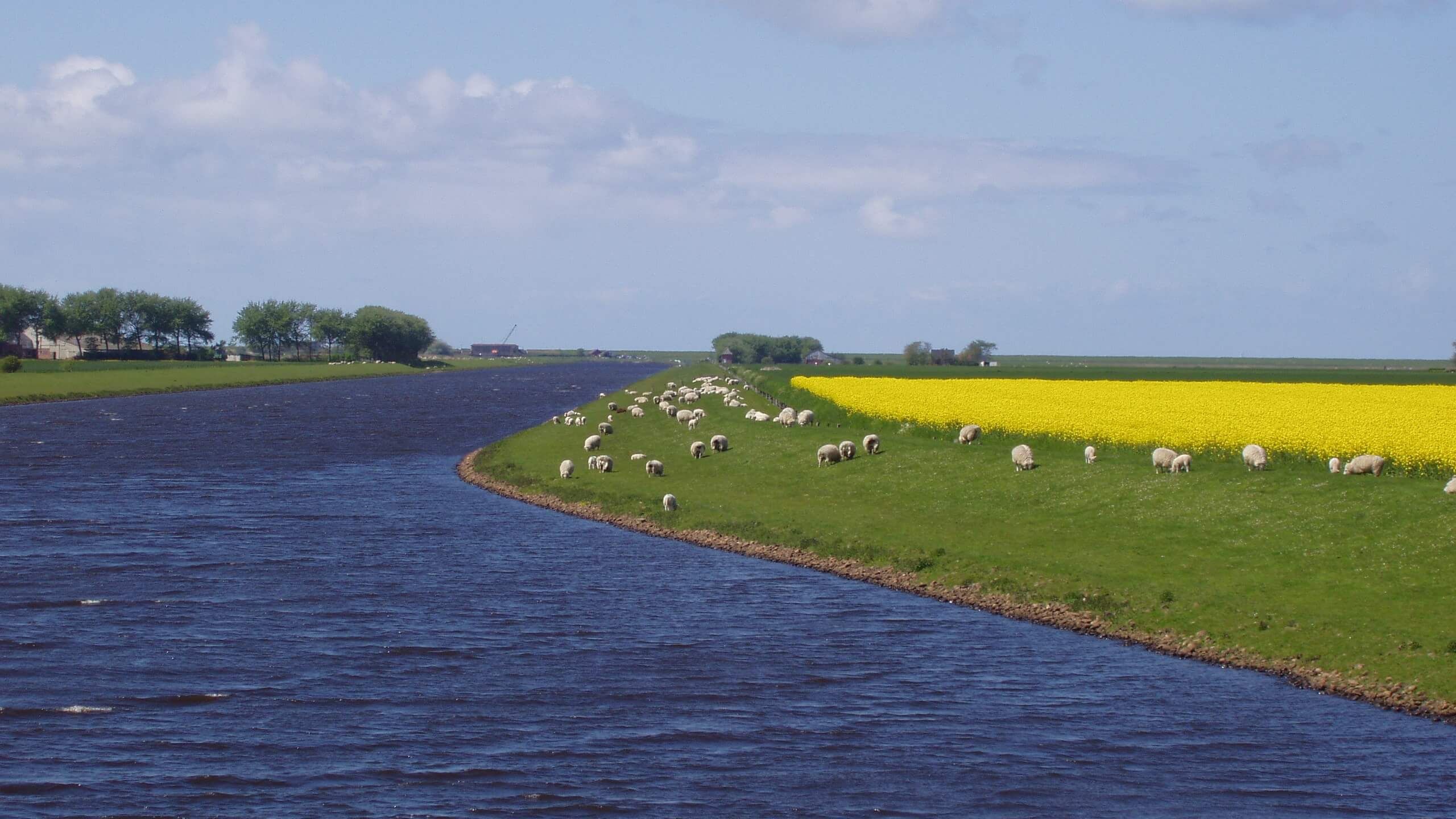 Hochwasserschutz – Deich- Und Hauptsielverband Südwesthörn-Bongsiel